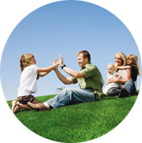 Сорт тревен чим Херкулес