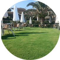 Хибрид бермуда „Диас“