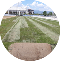 ФК „СКЪНДЕРБЕУ“, ТРЕНИРОВЪЧНО ИГРИЩЕ В КОРЧА