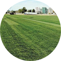 РЕНИРОВЪЧЕН ЦЕНТЪР НА АЛБАНСКИЯ НАЦИОНАЛЕН ОТБОР – ТРОПИКАЛИ