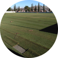 ОФК МЛАДОСТ ЛЕШКОПОЛЕ, ПОДГОРИЦА